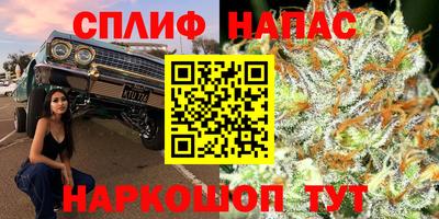 стаф Изобильный