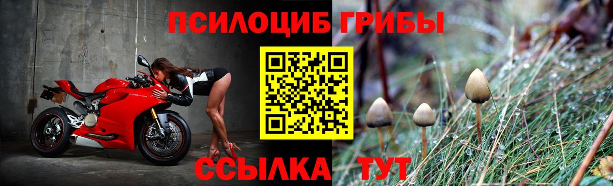 Ковров  Псилоцибиновые грибы MAGIC MUSHROOMS  Вход с VPN 